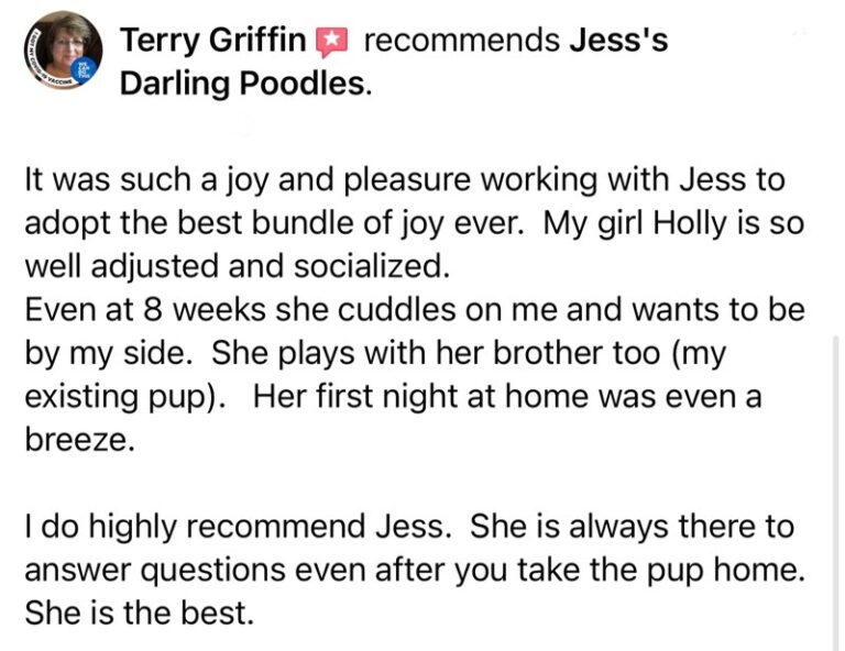 TERRY GRIFFIN REVIEW