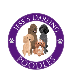 Jess's Darling Poodles